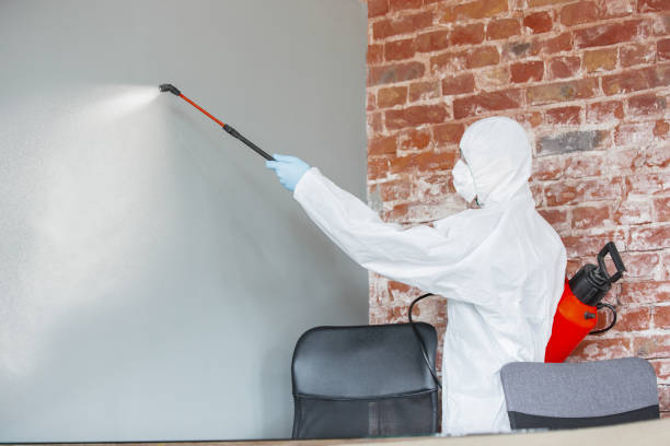 Best Real Estate Mold Inspection  in North Industry, OH