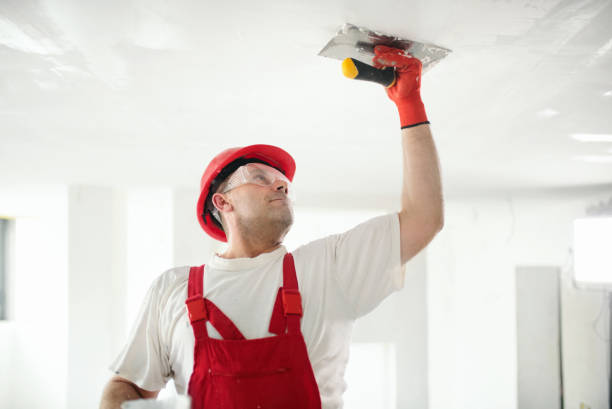 Best Mold Documentation for Insurance Claims  in North Industry, OH