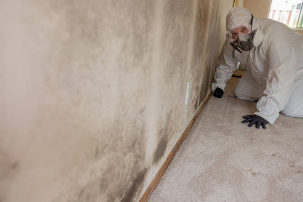 Best Industrial Mold Remediation  in North Industry, OH